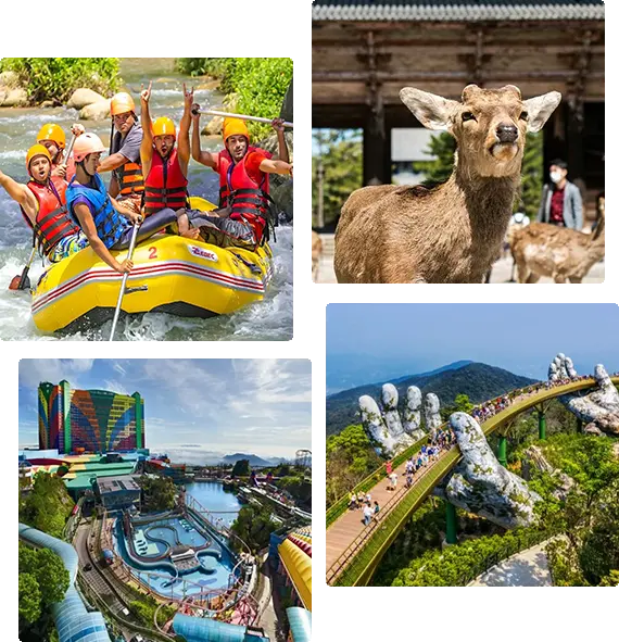 Trip Plus Travel